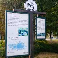 West Part of Swan Lake, Hefei 🌇🌊