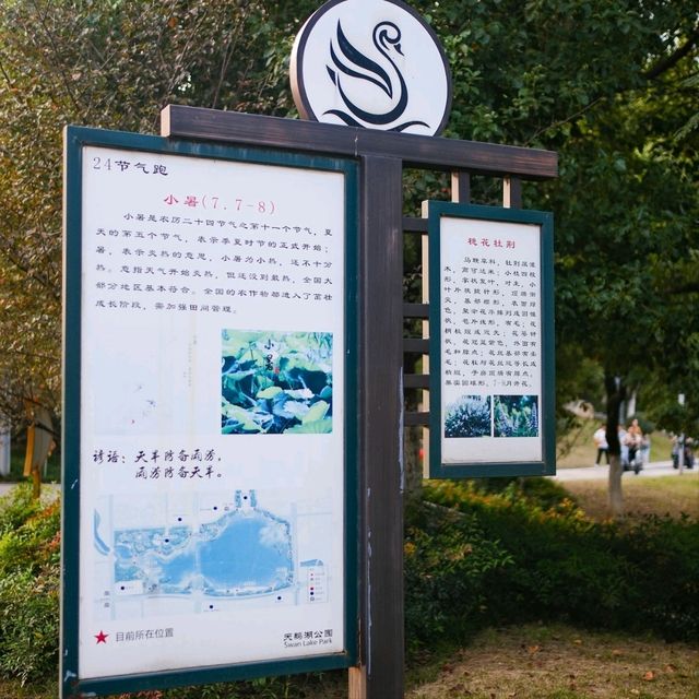West Part of Swan Lake, Hefei 🌇🌊