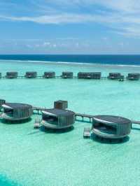 TOP 5 HOTELS IN THE MALDIVES
