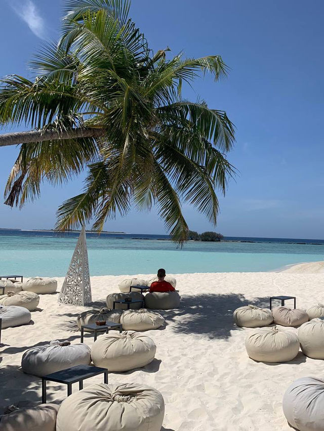 Robinson Club Maldives — Where Parrots Land on Your Hand and Reef Sharks Feel Like Friends Robinson Club Maldives — Where Parrots Land on Your Hand and Reef Sharks Feel Like Friends