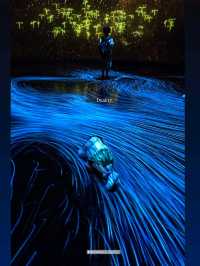 Teamlabs borderless the on the edge of imagination