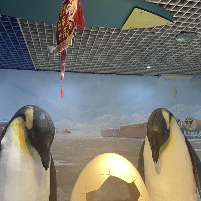 Underwater world Aquarium 