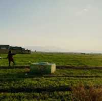 Xizhou Ancient Town 