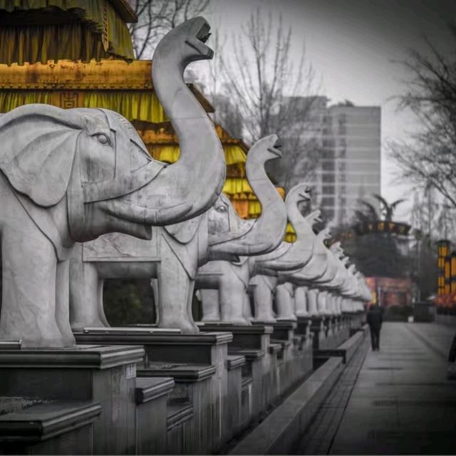 Baoji's Famous Park