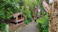 New Zealand's national treasure, the Kiwi bird.