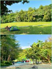 綠意盎然的寶安城市公園，親近大自然休閒好去處