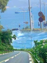 在廣東!!為了這條沿海公路願意來一萬次…