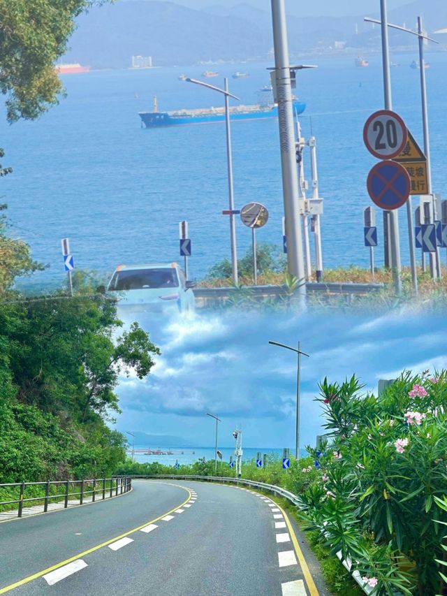 在廣東!!為了這條沿海公路願意來一萬次…