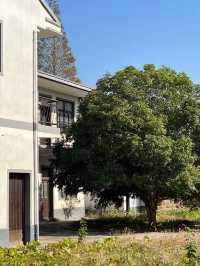 上海崇明的新農村