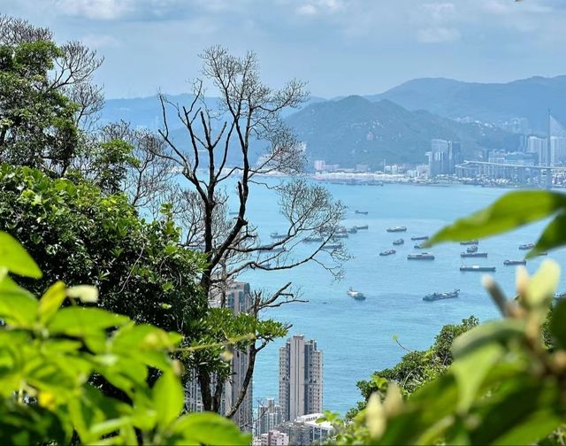 香港最高的山峰