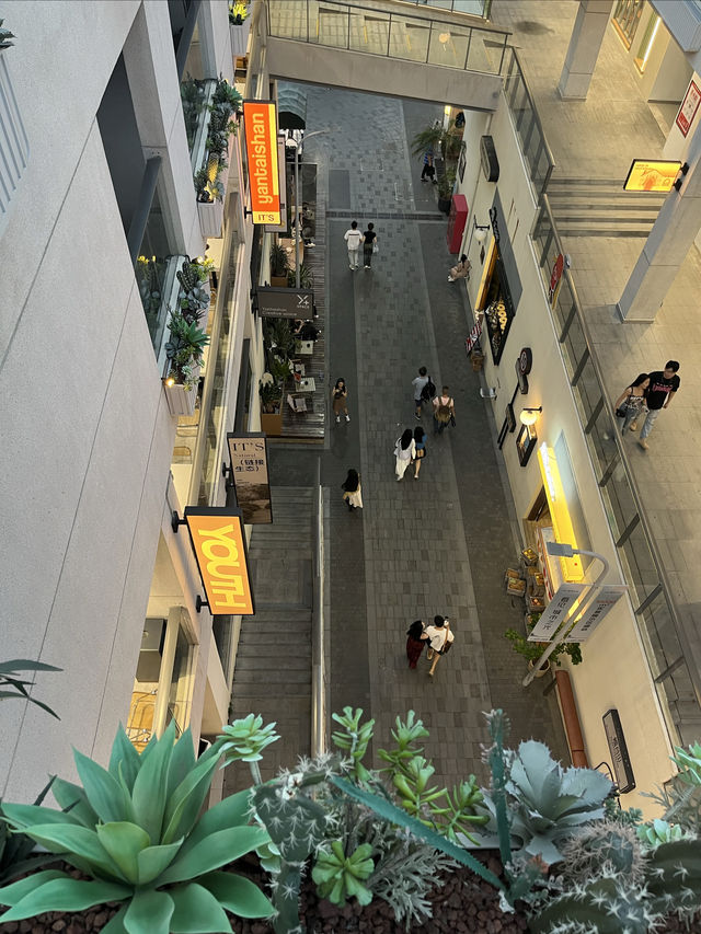 福州煙台山帶著愛寵citywalk