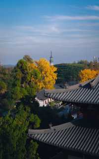杭州徑山寺半日遊：冬日陽光下的寧靜與美麗