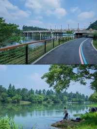 絕美綠竹桃園，杭州安吉民宿之夢幻之地