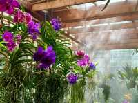 亞特蘭大植物園：花卉與自然的盛宴"