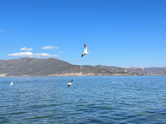 雲南麗江古城五天旅遊攻略