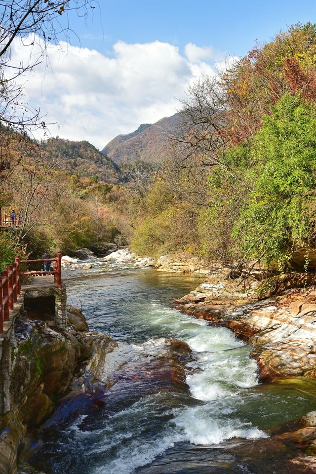 山水畫廊黃柏塬