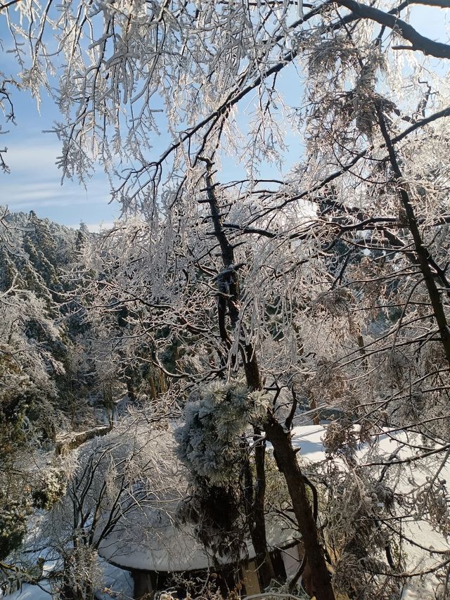 江西九江廬山—冬日裡的浪漫