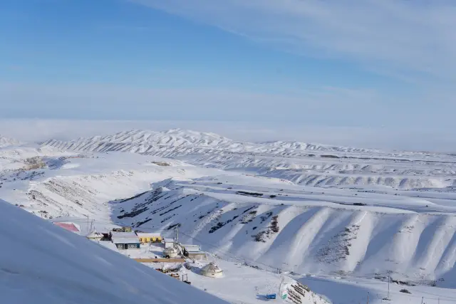 當南山遇上雪