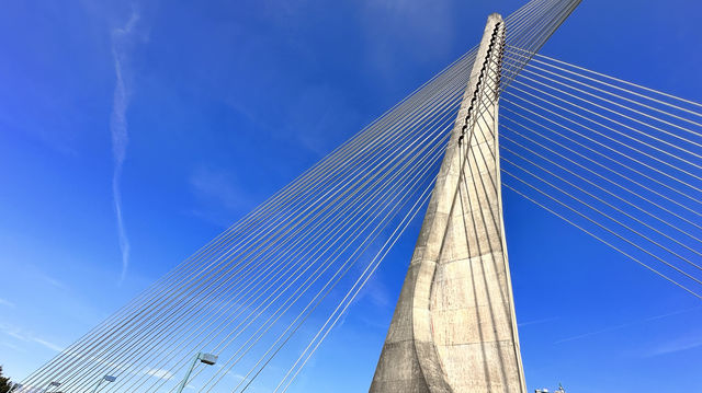 蒂蘭特斯斜拉橋Puente de los Tirantes