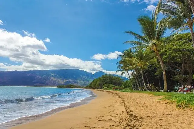 24年の春節に海外旅行をお考えなら、これらの6つの島をお勧めします！美しいですよ〜