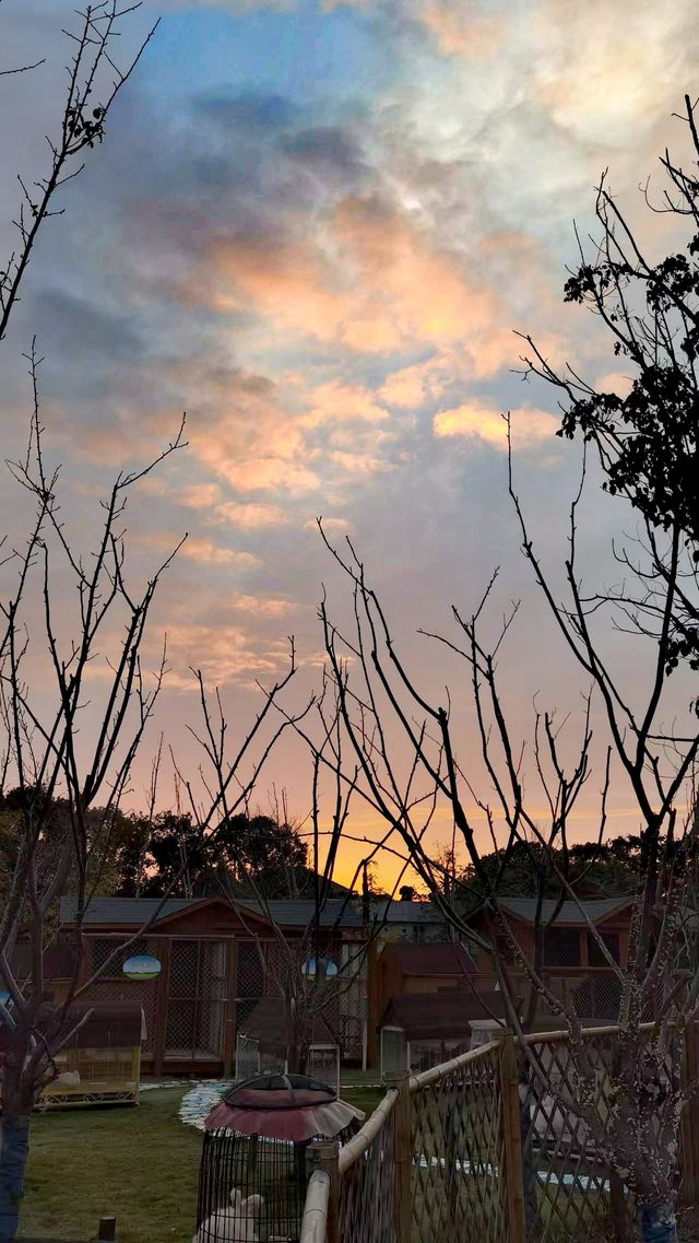 晚霞火烧雲-奉賢前昇希爾頓