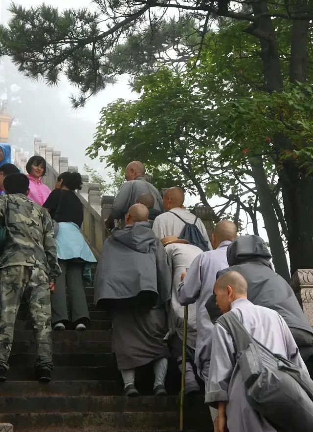 휴가 어디로 갈까요? 안휘성 창저우시 청양현 쥐화산 경치구로 가요