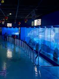 我真的沒想到！大連極地這麼好拍！！！