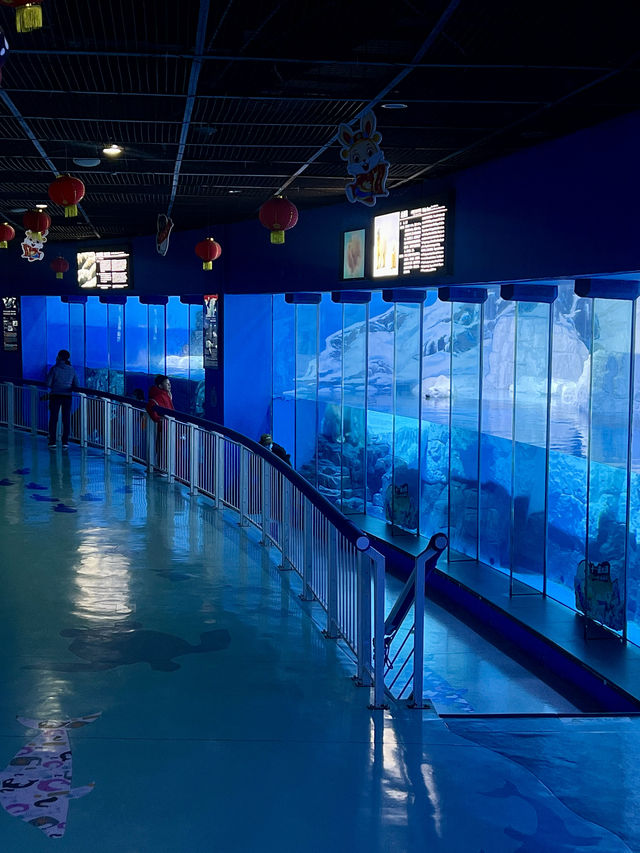 我真的沒想到！大連極地這麼好拍！！！