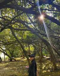 柳州大龍潭公園