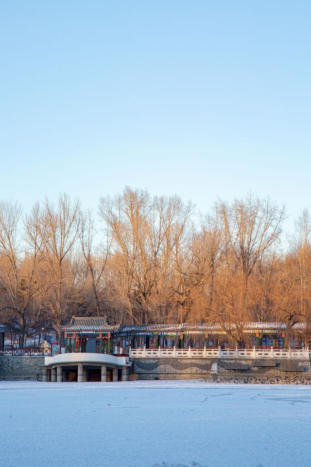 冬季的勞動公園，可賞雪，可滑冰