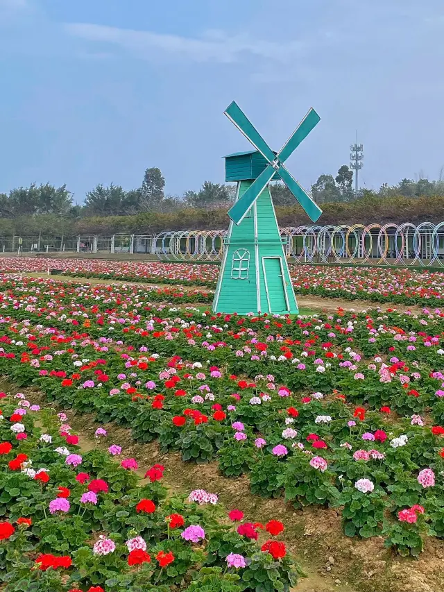 Come to Yingxiang Ecological Park for the Spring Festival, it's really fun and won't disappoint