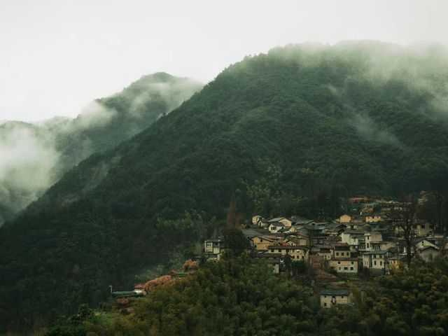 仙氣滿滿，遠處的梯田綠水青山絕對不能錯過