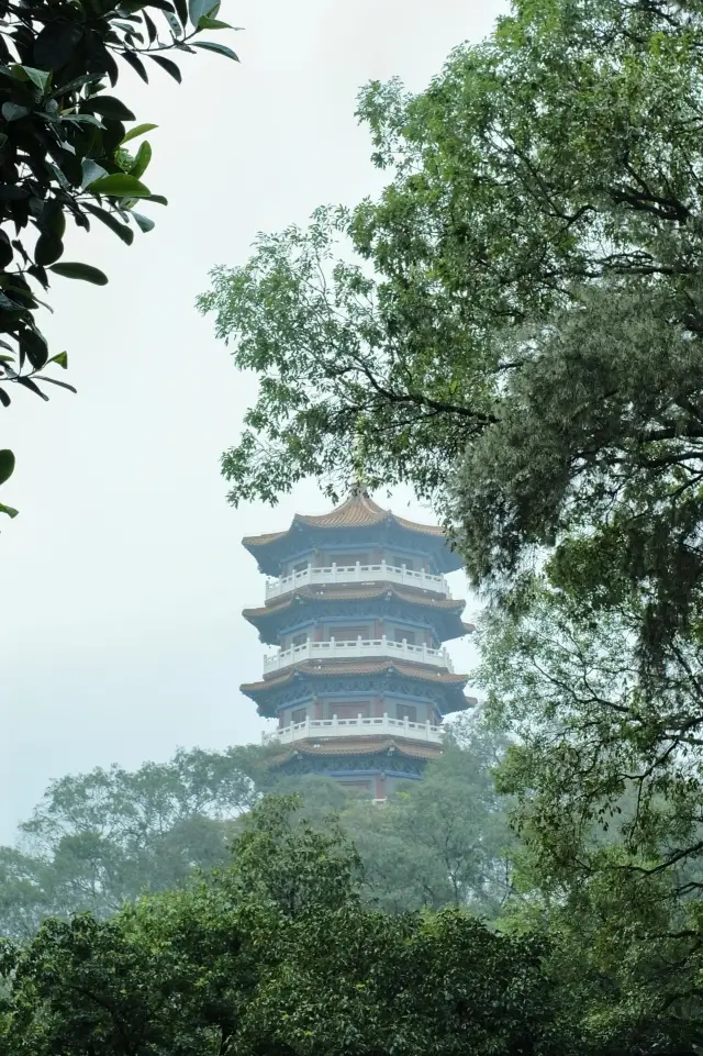 探險日記來到了中越邊境小城東興