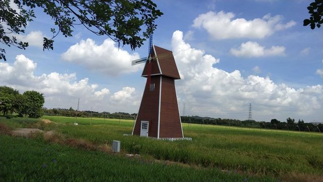 東莞水鄉濕地公園，周末親子遊好去處