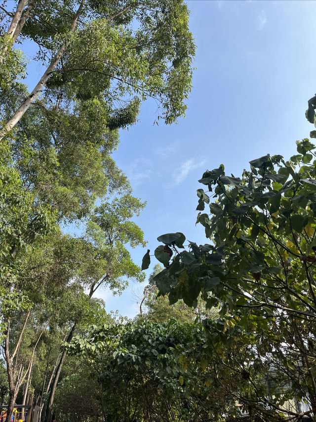 深圳Citywalk：福榮綠道