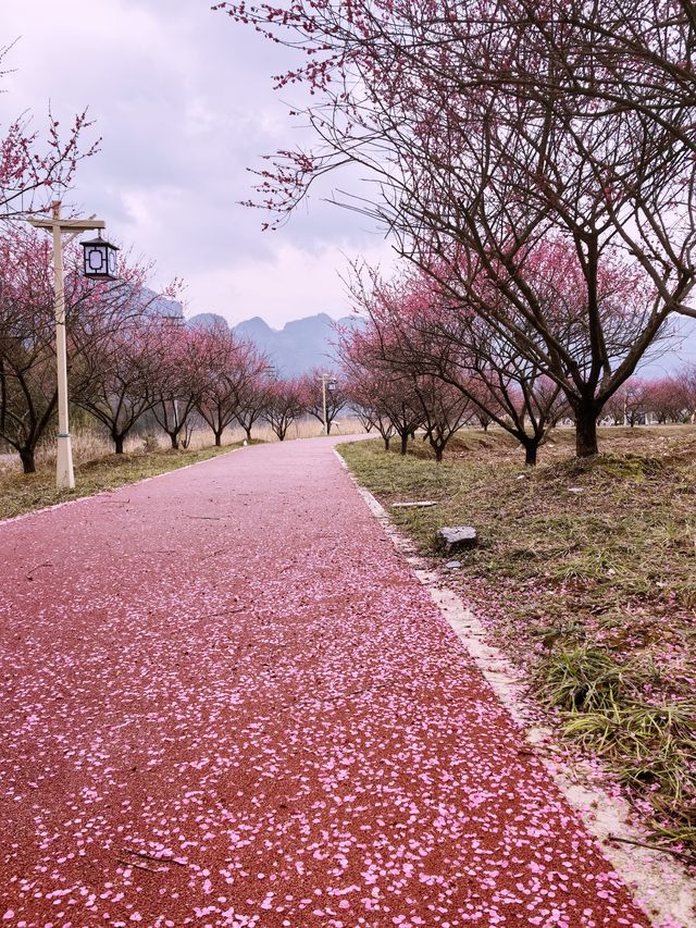 美麗的免費景點就在身邊——梵江印象酒店