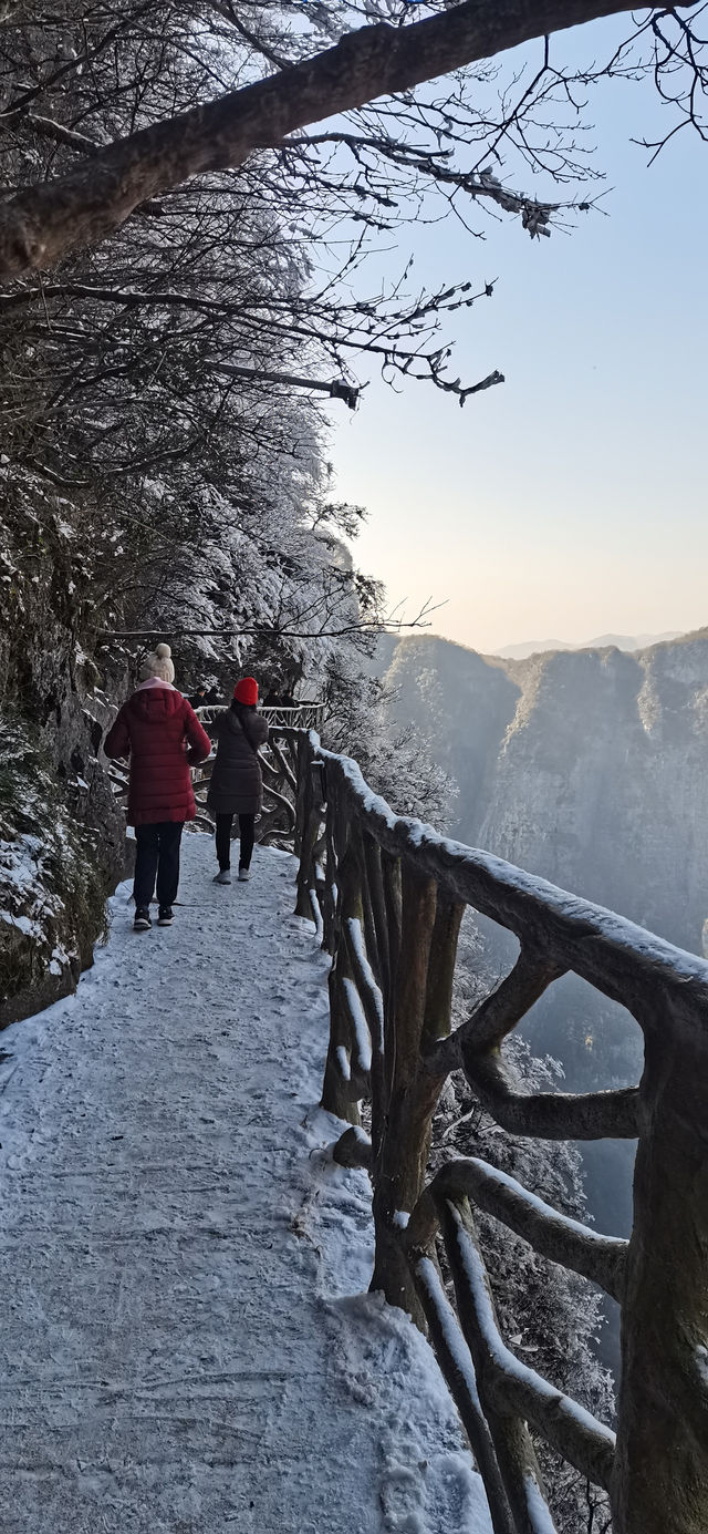 總要和最好的朋友一起去一趟張家界國家森林公園天門山吧