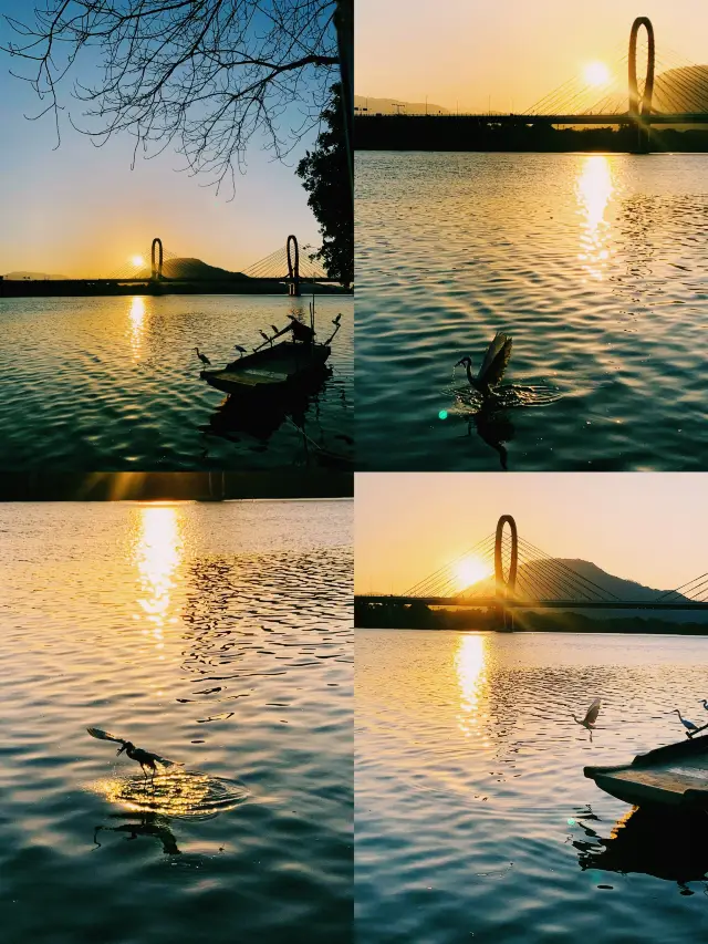 Dongshan Island in Zhangzhou】The romantic chase of sunrise and sunset awaits you, ladies and gentlemen, come and play