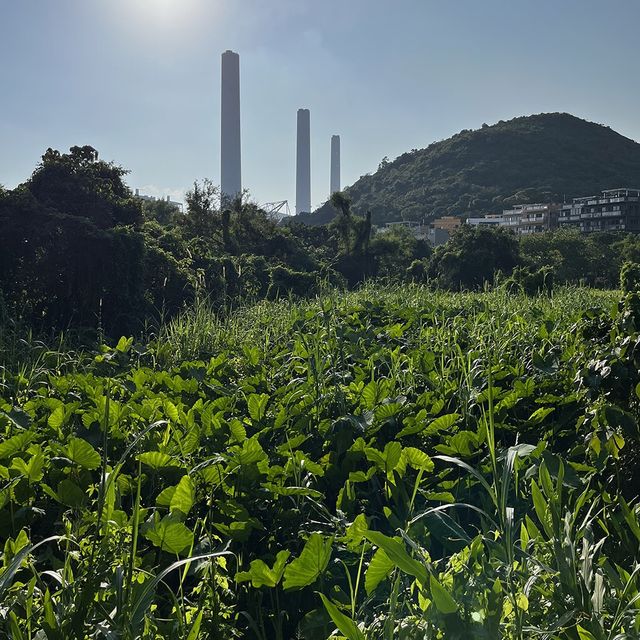 🇭🇰洪聖爺泳灘