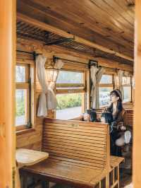 攜帶孩子在建水坐上了這趟開往春日的米軌小火車