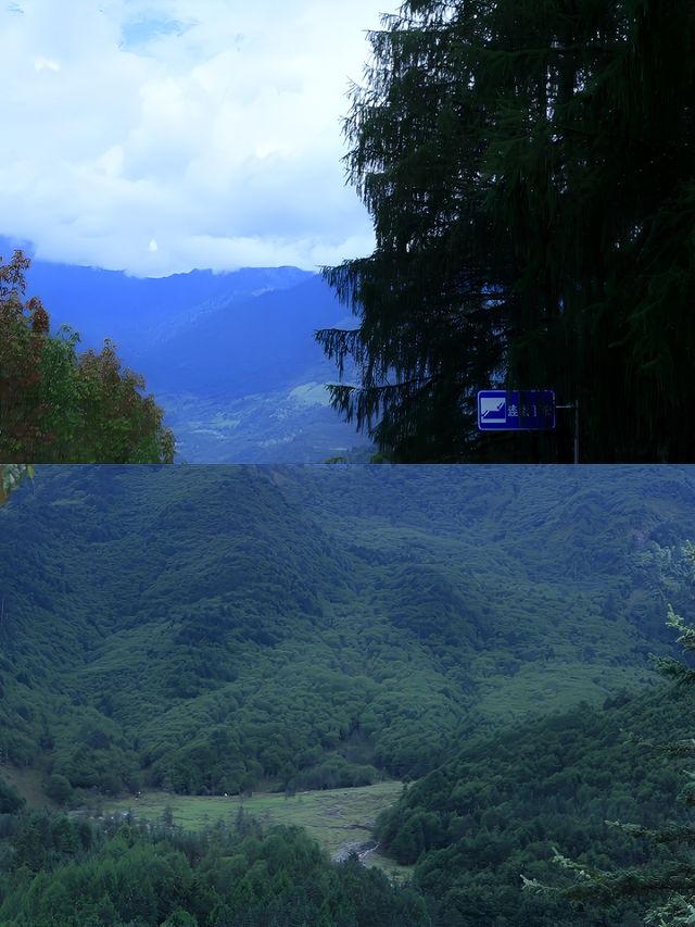 神木壘 ㄧ去山間追風看日出日落吧