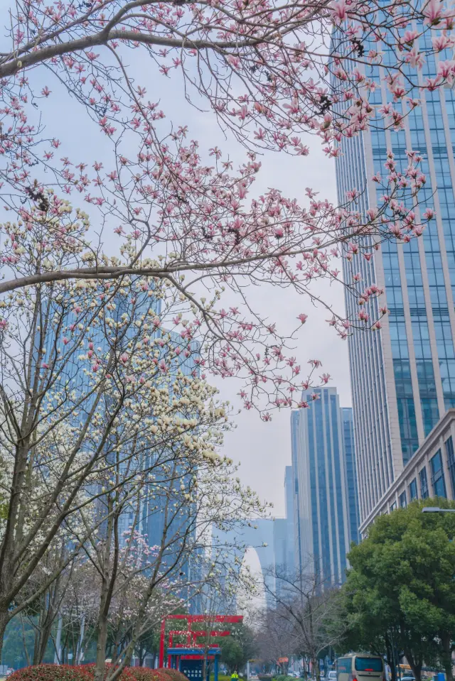 동방의 문 아래 개화한 목련화는 수주의 낭만을 가득 표현하였다