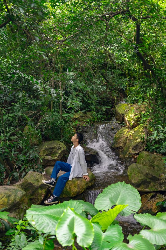 不是蘇州林園，是藏在廣州的蘭圃公園！