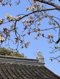 玉蘭仙境：漫步雲過園、東林書院與小娄佚園