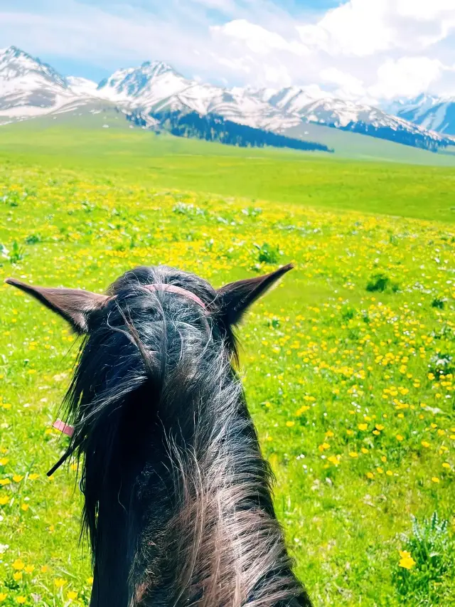 Only when you go to Xinjiang will you understand what is meant by 'computer desktop' at your fingertips