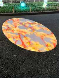截至4月14日｜東京小金井公園夜櫻秀來啦