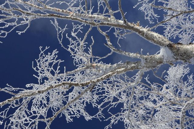 與雪來了一場浪漫的邂逅～｜幸福地在雪裡打滾