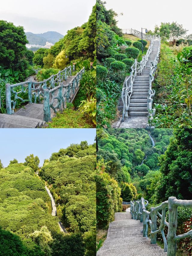 深圳無人知道的小眾打卡點:免預約、免門票