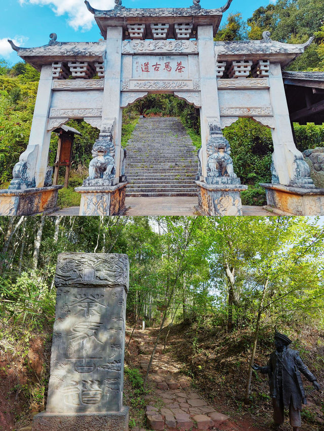 雲南旅遊好去處·遊玩普洱茶馬古道…