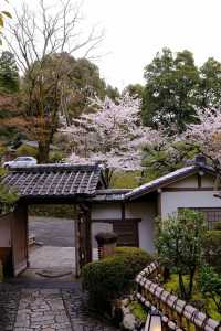 京都旅行必打卡！入住東山，步行直達網紅景點，清晨私享靜謐之美